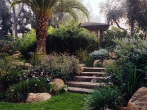 Çevre düzenleme ve peysaj